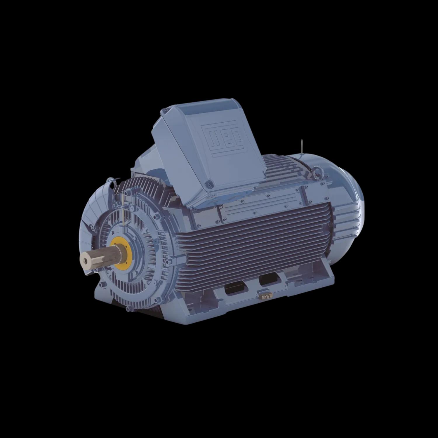 Motori in ghisa W51 per applicazioni generali