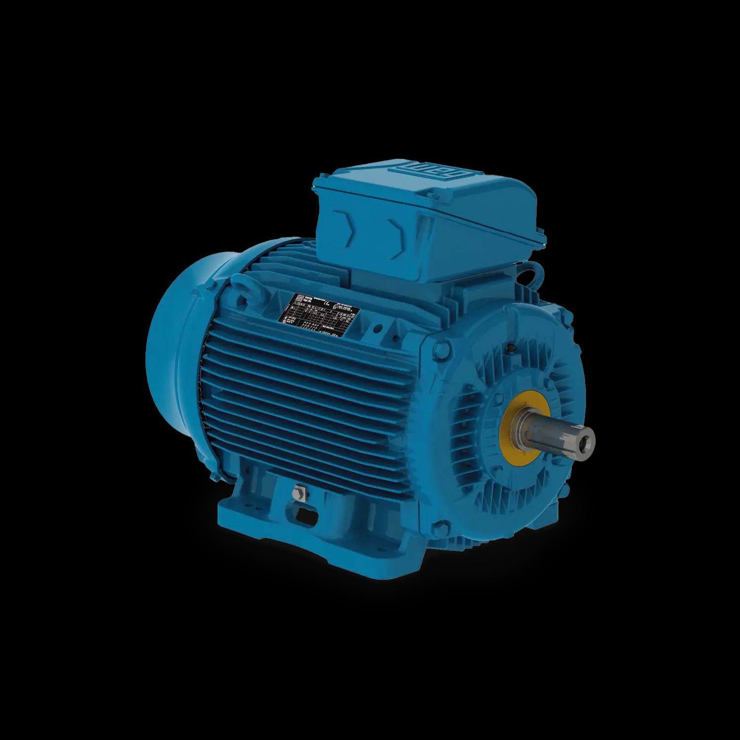 Motore a gabbia di scoiattolo trifase W22Xtb (Zona 21)