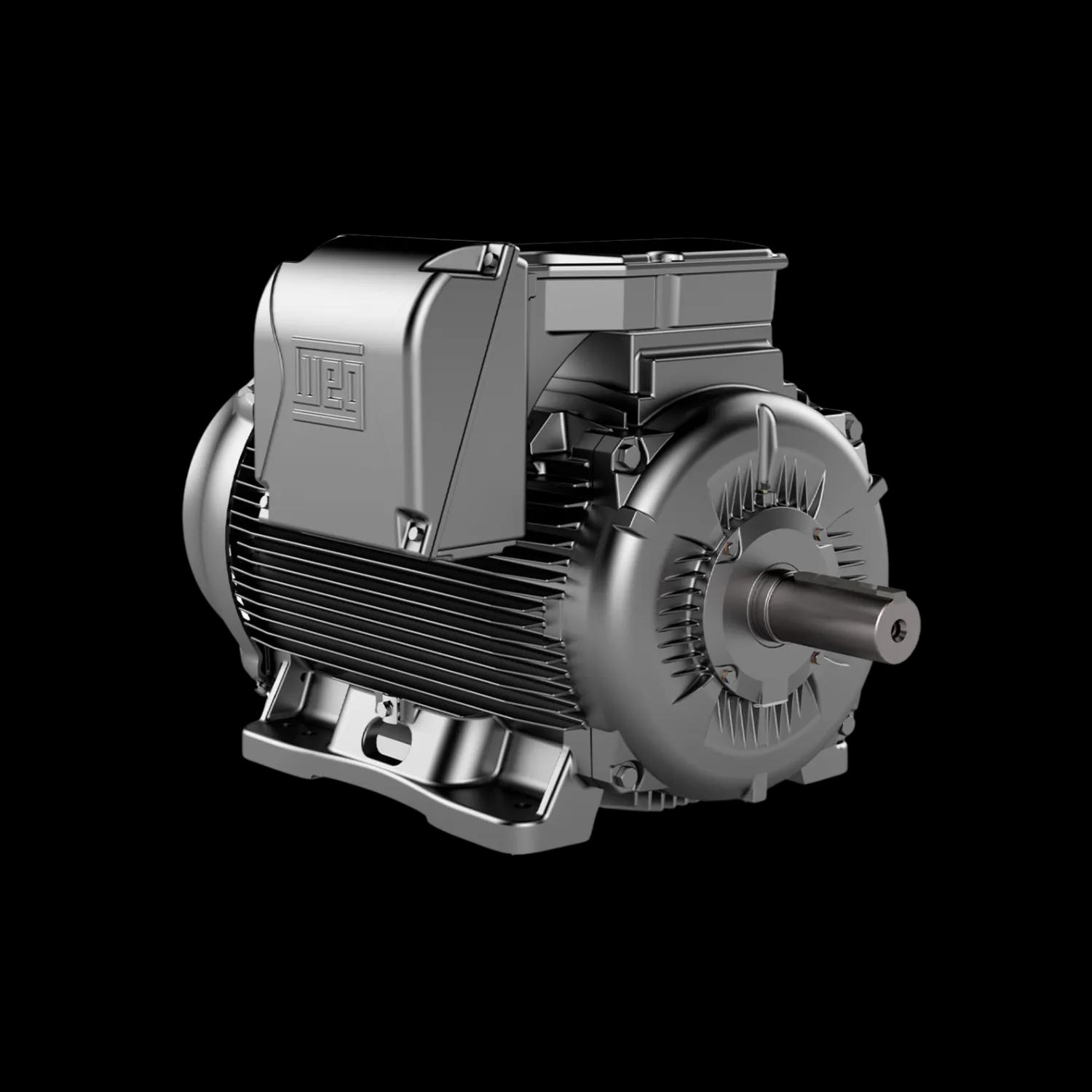 Motori W23 Sync IE5 e IE6