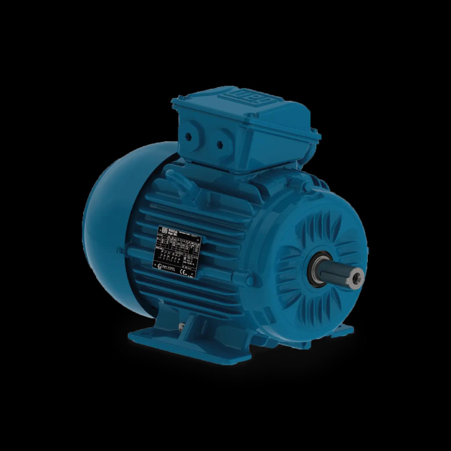 Motore a gabbia di scoiattolo trifase W22Xeb con sicurezza aumentata Exeb (Zona 1)