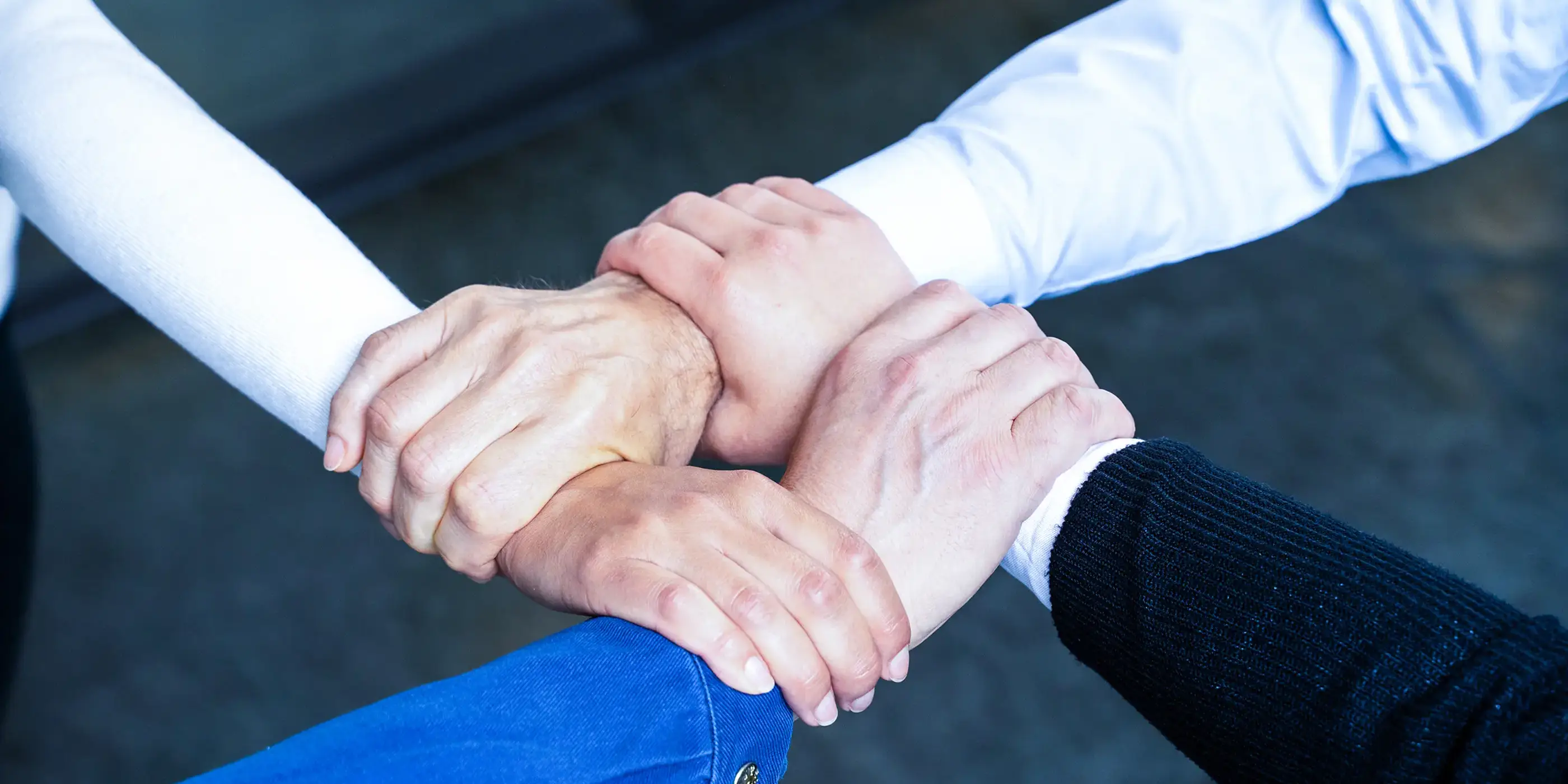 bibus-news-zanutto-hydraulik