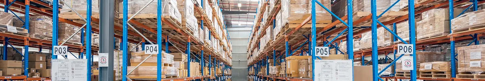 bibus-italia-servizi