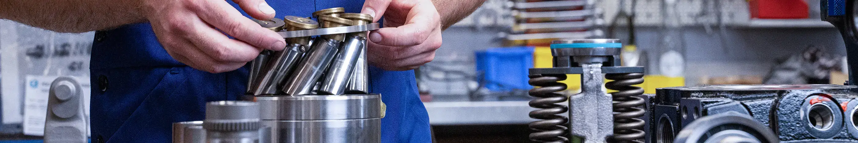 bibus-kernkompetenzen-1