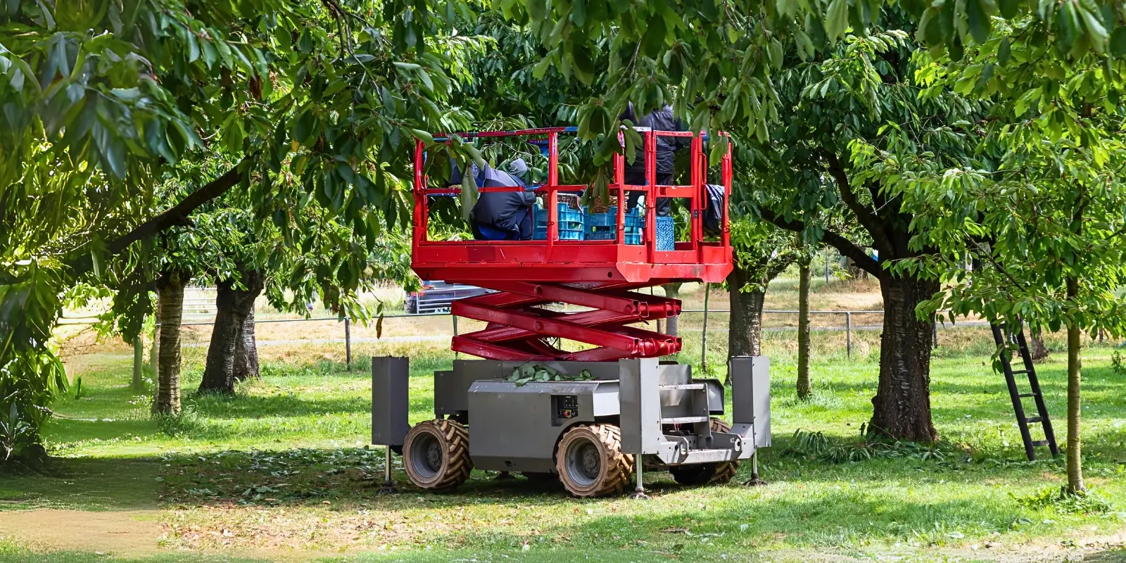Elettrificazione e sistema di steering di un carro raccoglifrutta