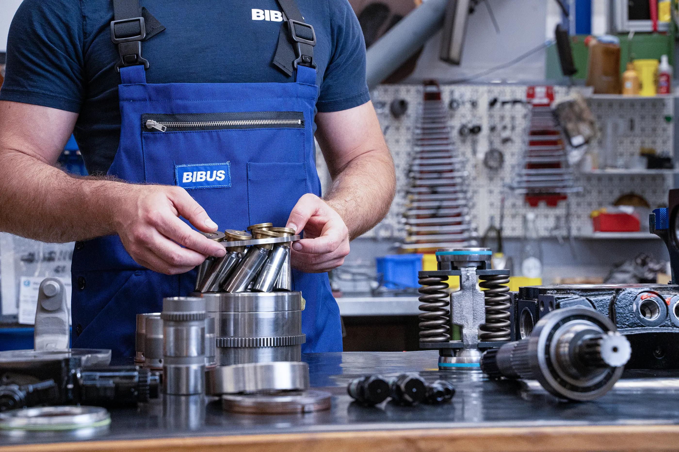 bibus-kernkompetenzen-1