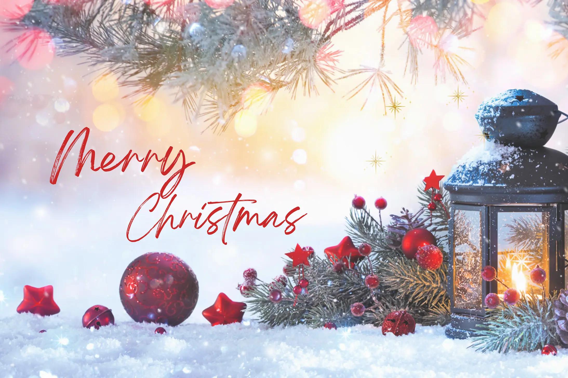 bibus-weihnachten-2025-en