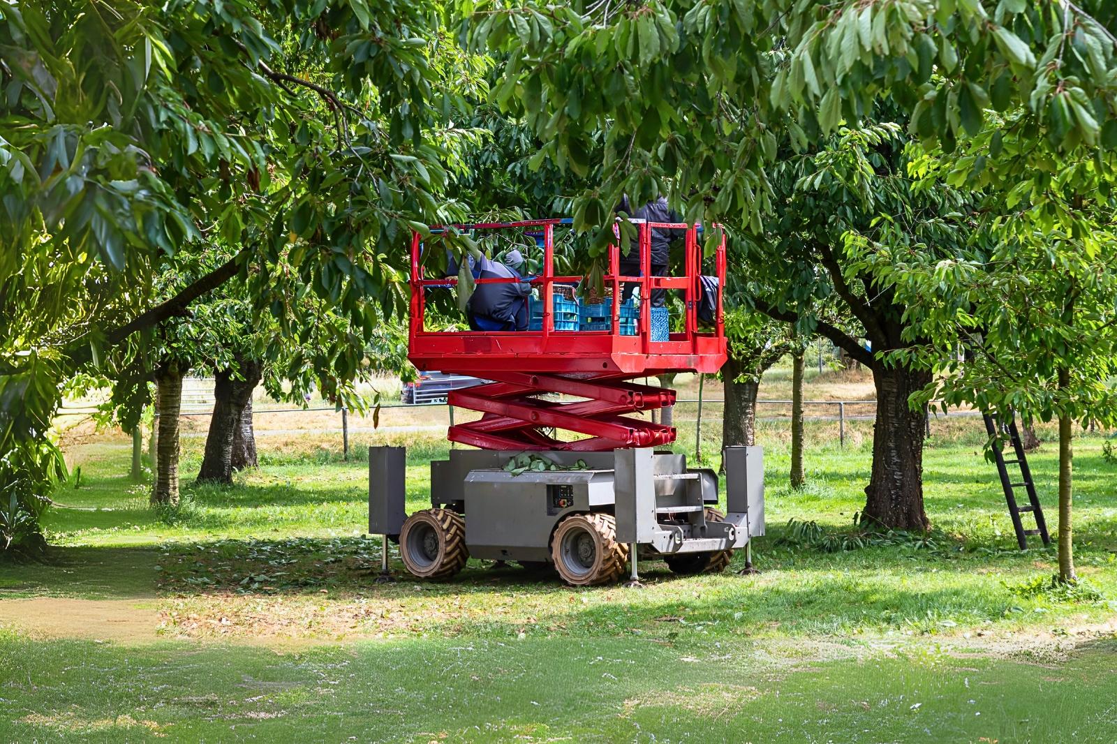 Elettrificazione e sistema di steering di un carro raccoglifrutta