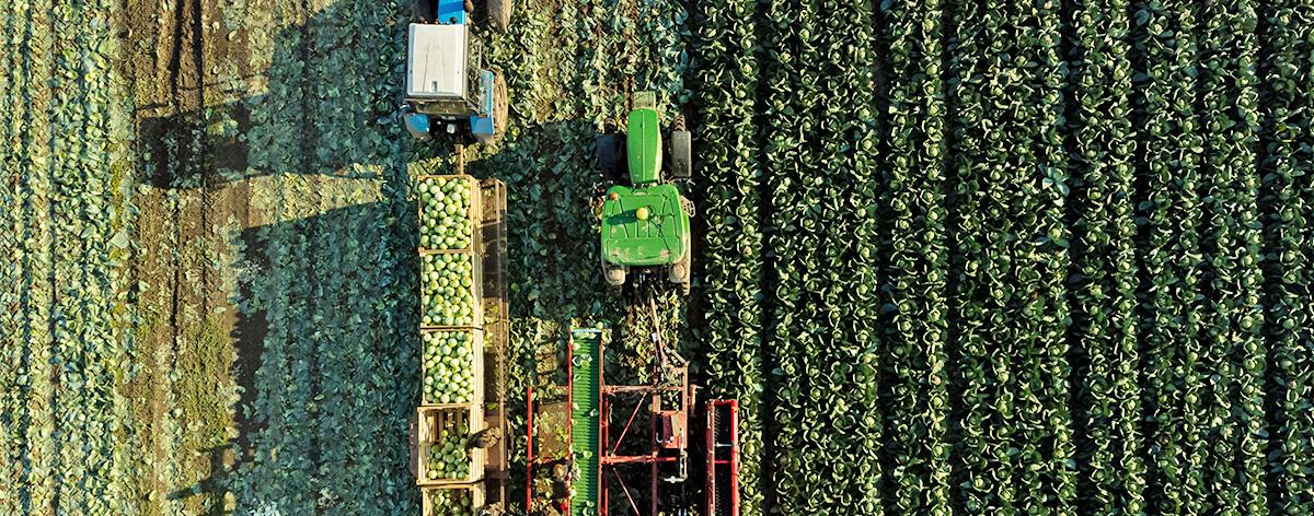 Software completo e adattabile per macchine da raccolta